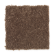 New Chapter II in Carved Wood - Carpet by Mohawk Flooring