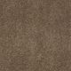 Flora in Mocha Latte - Carpet by Shaw Flooring