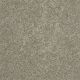 Extraordinary Touch I in April Shower - Carpet by Shaw Flooring