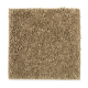 Smart Color in Pondscape - Carpet by Mohawk Flooring