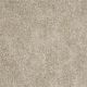 Distinction in Pebble - Carpet by Shaw Flooring