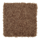 Serene Touch in Ancient Spice - Carpet by Mohawk Flooring