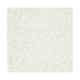 Memorable View in Almost White - Carpet by Mohawk Flooring