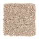 Modern Ease in Cobweb - Carpet by Mohawk Flooring