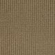 Something New in Apple Butter - Carpet by Shaw Flooring