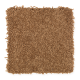 Truly Tender III in Sunset - Carpet by Mohawk Flooring