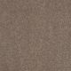 Secret Escape III 12 in Crossroads - Carpet by Shaw Flooring