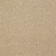 Highland Cove II 15 in Silk - Carpet by Shaw Flooring