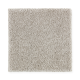Luxurious Class in Windsor Castle - Carpet by Mohawk Flooring