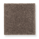 Creative Landscape in Soft Mink - Carpet by Mohawk Flooring