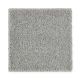Exquisite Attraction in Antiqued Silver - Carpet by Mohawk Flooring
