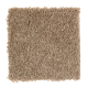 Exotic Fantasy in Cedar Shingles - Carpet by Mohawk Flooring