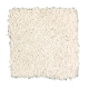 Premier Look in Tibetan Jasmine - Carpet by Mohawk Flooring