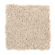 Emerging Image III in Seashell - Carpet by Mohawk Flooring