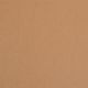 Cache in Pale Peach - Carpet by Masland Carpets