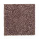 True Elegance II in Winter Berry - Carpet by Mohawk Flooring