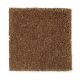 American Dream in Autumn Air - Carpet by Mohawk Flooring