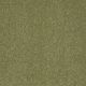Secret Escape III 12 in Citrus Burst - Carpet by Shaw Flooring