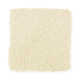 Elegant Appeal I in Flaky Coconut - Carpet by Mohawk Flooring