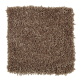 Graceful Beauty in Sumatra Blend - Carpet by Mohawk Flooring