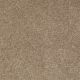 Bright Spirit I 12 in Mojave - Carpet by Shaw Flooring