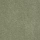 Flora in Applemint - Carpet by Shaw Flooring