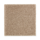 Luxurious Class in Timeless - Carpet by Mohawk Flooring