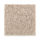 Brilliant Design in Magnolia Bud - Carpet by Mohawk Flooring