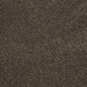 Memorable View in Weathered Plank - Carpet by Mohawk Flooring