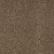 Truly Modern III 12' in Pine Cone - Carpet by Shaw Flooring