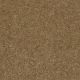 Roadside in Putty - Carpet by Shaw Flooring