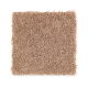 Winning Hand in Crossroads - Carpet by Mohawk Flooring