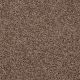 Everyday Easy in Moccasin - Carpet by Shaw Flooring
