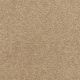 Patriot in Ruins - Carpet by Masland Carpets
