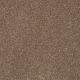 From The Heart I in Goal Post - Carpet by Shaw Flooring