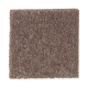 Woodcroft I in Nutmeg - Carpet by Mohawk Flooring