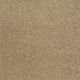 Luxury Appeal IV 15' in Flax - Carpet by Shaw Flooring