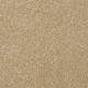 Different Times III 15 in Butter - Carpet by Shaw Flooring