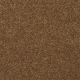 Highland Cove II 15 in Brass Button - Carpet by Shaw Flooring