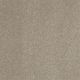 Enjoy The Moment II 12 in Puppy Paws - Carpet by Shaw Flooring