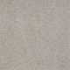 Bright Spirit I 12 in London Fog - Carpet by Shaw Flooring