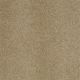 Flora in Maple Granola - Carpet by Shaw Flooring