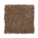 Prestige Style in Acorn Trail - Carpet by Mohawk Flooring