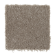 Clever Fashion I in Wool Socks - Carpet by Mohawk Flooring