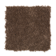 Exclusive Content II in Cat Tail - Carpet by Mohawk Flooring