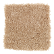 Rare Details in Honey Butter - Carpet by Mohawk Flooring