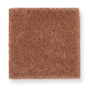 Pure Satisfaction in Baked Amber - Carpet by Mohawk Flooring