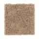 Living Legacy in Rich Maple - Carpet by Mohawk Flooring