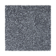 Memorable View in Brushed Metal - Carpet by Mohawk Flooring