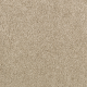 Enhanced Beauty in Ochre Tan - Carpet by Mohawk Flooring